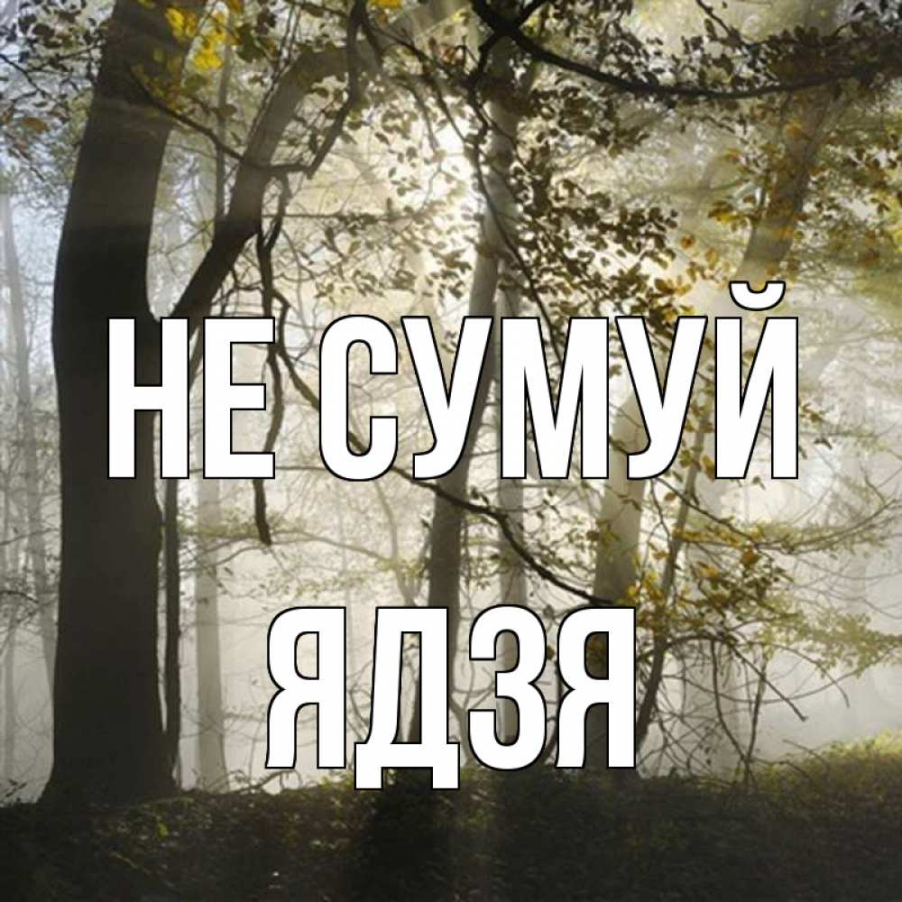 Открытка на каждый день з підписом, Ядзя Не сумуй лес и свет Прикольна листівка з побажанням онлайн скачати безкоштовно 