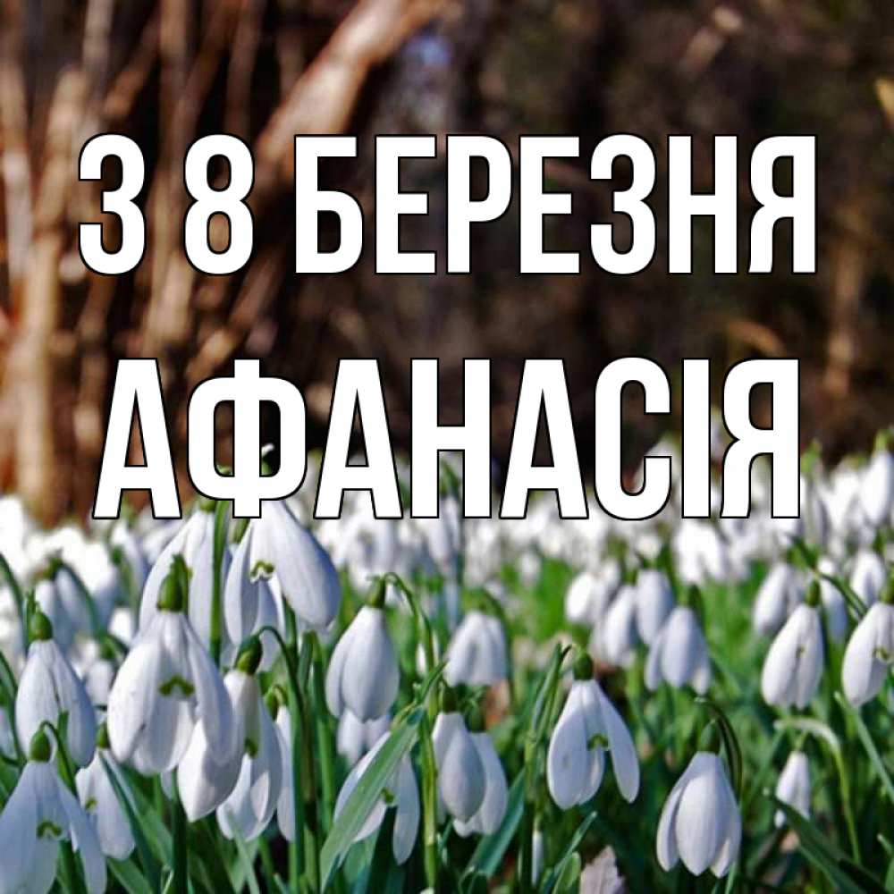 Открытка на каждый день з підписом, Афанасія З 8 БЕРЕЗНЯ с подснежниками 1 Прикольна листівка з побажанням онлайн скачати безкоштовно 