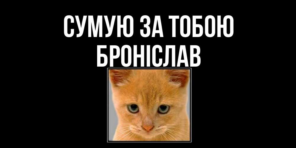 Открытка на каждый день з підписом, Броніслав Сумую за тобою открытки рыжий котенок скучает по тебе Прикольна листівка з побажанням онлайн скачати безкоштовно 