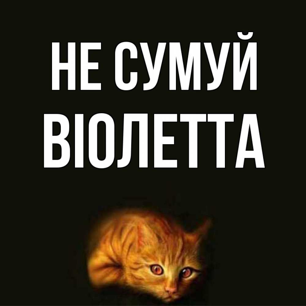 Открытка на каждый день з підписом, Віолетта Не сумуй лежащий кот в темноте Прикольна листівка з побажанням онлайн скачати безкоштовно 