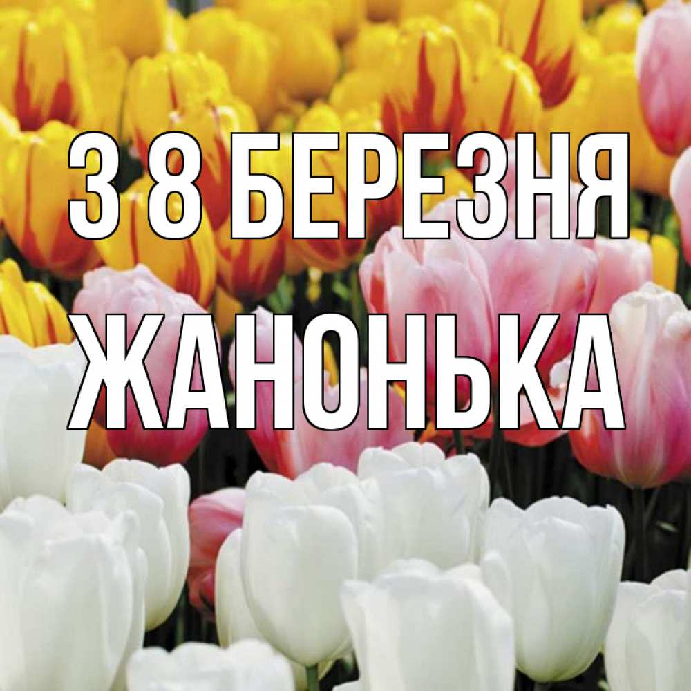 Открытка на каждый день з підписом, Жанонька З 8 БЕРЕЗНЯ разноцветные цветы Прикольна листівка з побажанням онлайн скачати безкоштовно 