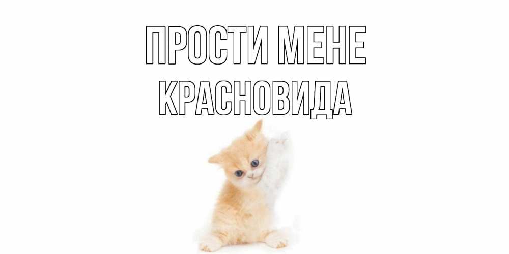 Открытка на каждый день з підписом, Красновида Прости мене кот Прикольна листівка з побажанням онлайн скачати безкоштовно 