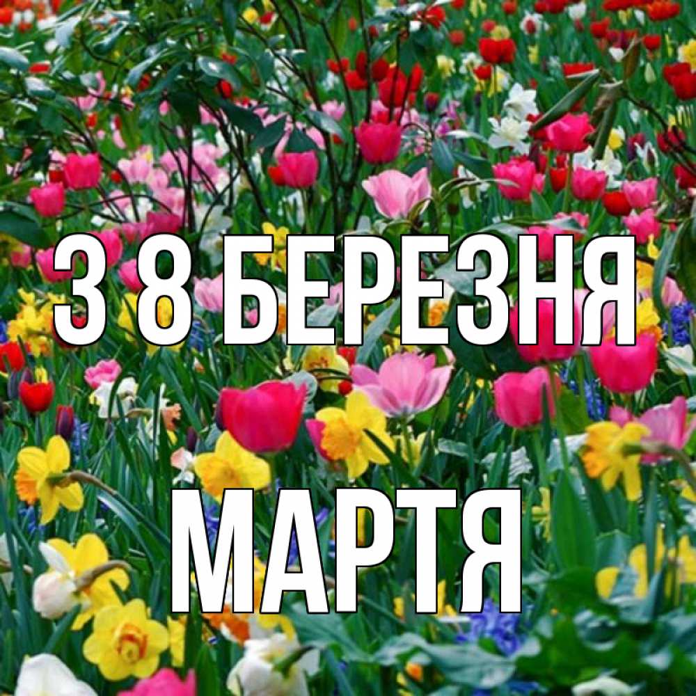 Открытка на каждый день з підписом, Мартя З 8 БЕРЕЗНЯ с международным женским днем поздравления для женщины Прикольна листівка з побажанням онлайн скачати безкоштовно 