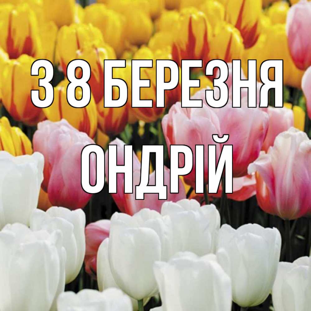 Открытка на каждый день з підписом, Ондрій З 8 БЕРЕЗНЯ разноцветные цветы Прикольна листівка з побажанням онлайн скачати безкоштовно 