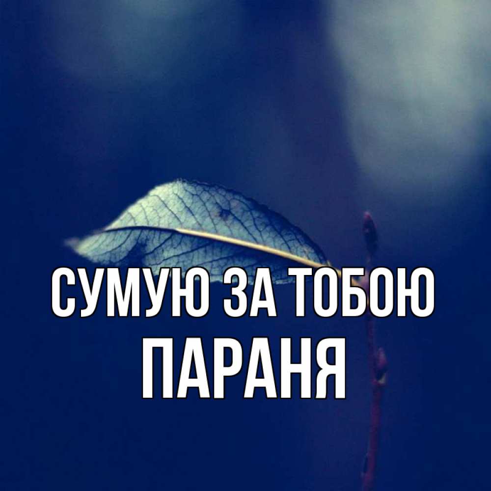 Открытка на каждый день з підписом, Параня Сумую за тобою одна ветка 1 Прикольна листівка з побажанням онлайн скачати безкоштовно 