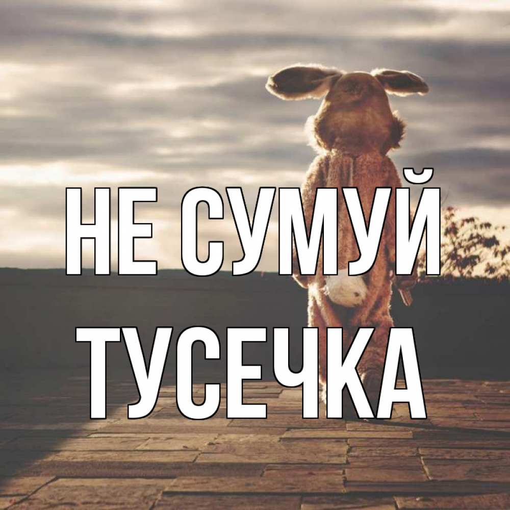 Открытка на каждый день з підписом, Тусечка Не сумуй со спины Прикольна листівка з побажанням онлайн скачати безкоштовно 