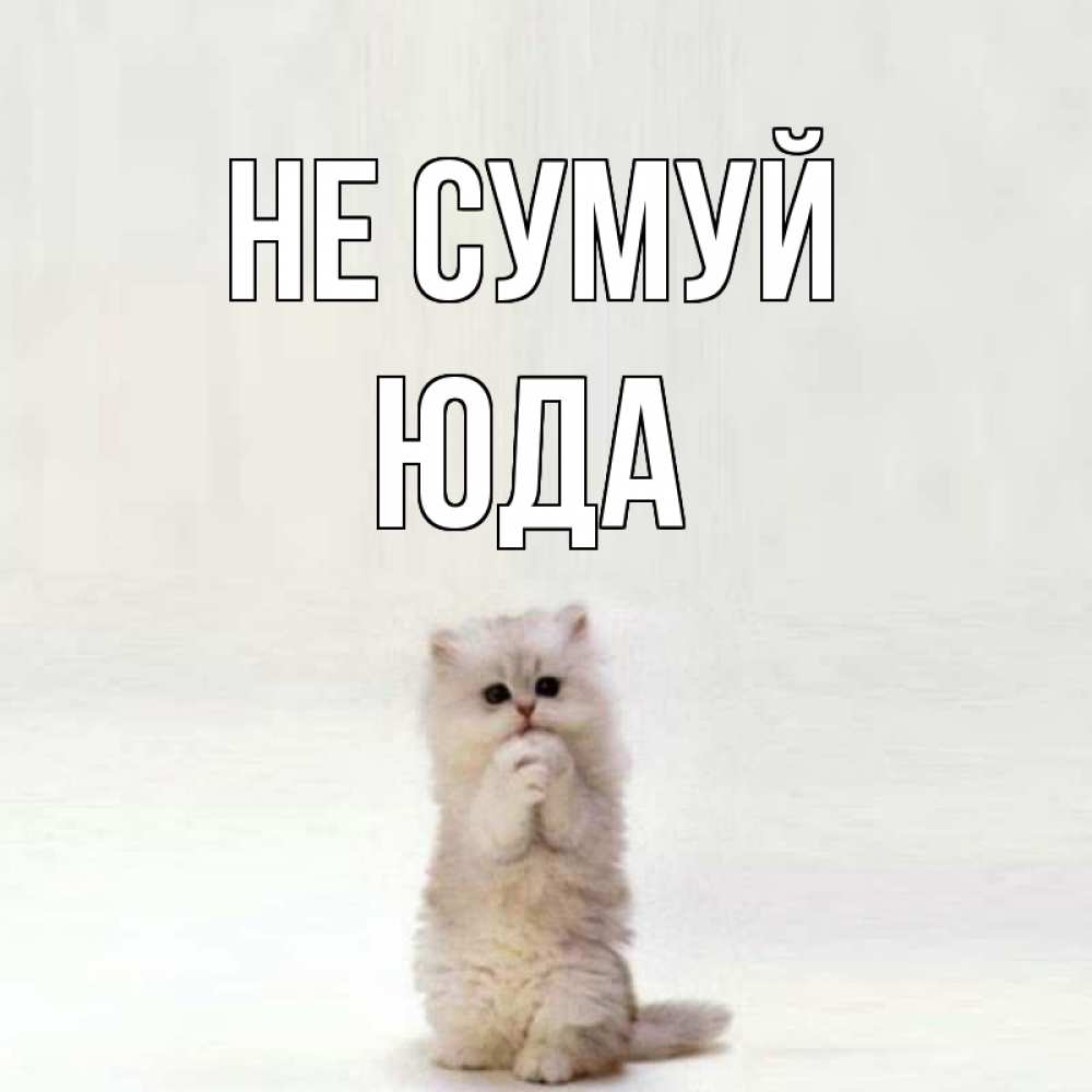 Открытка на каждый день з підписом, Юда Не сумуй грустный кот Прикольна листівка з побажанням онлайн скачати безкоштовно 