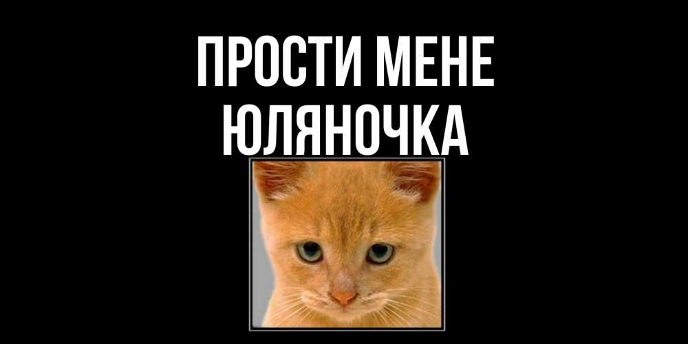 Открытка на каждый день з підписом, Юляночка Прости мене рыжий грустный кот просит прощения Прикольна листівка з побажанням онлайн скачати безкоштовно 