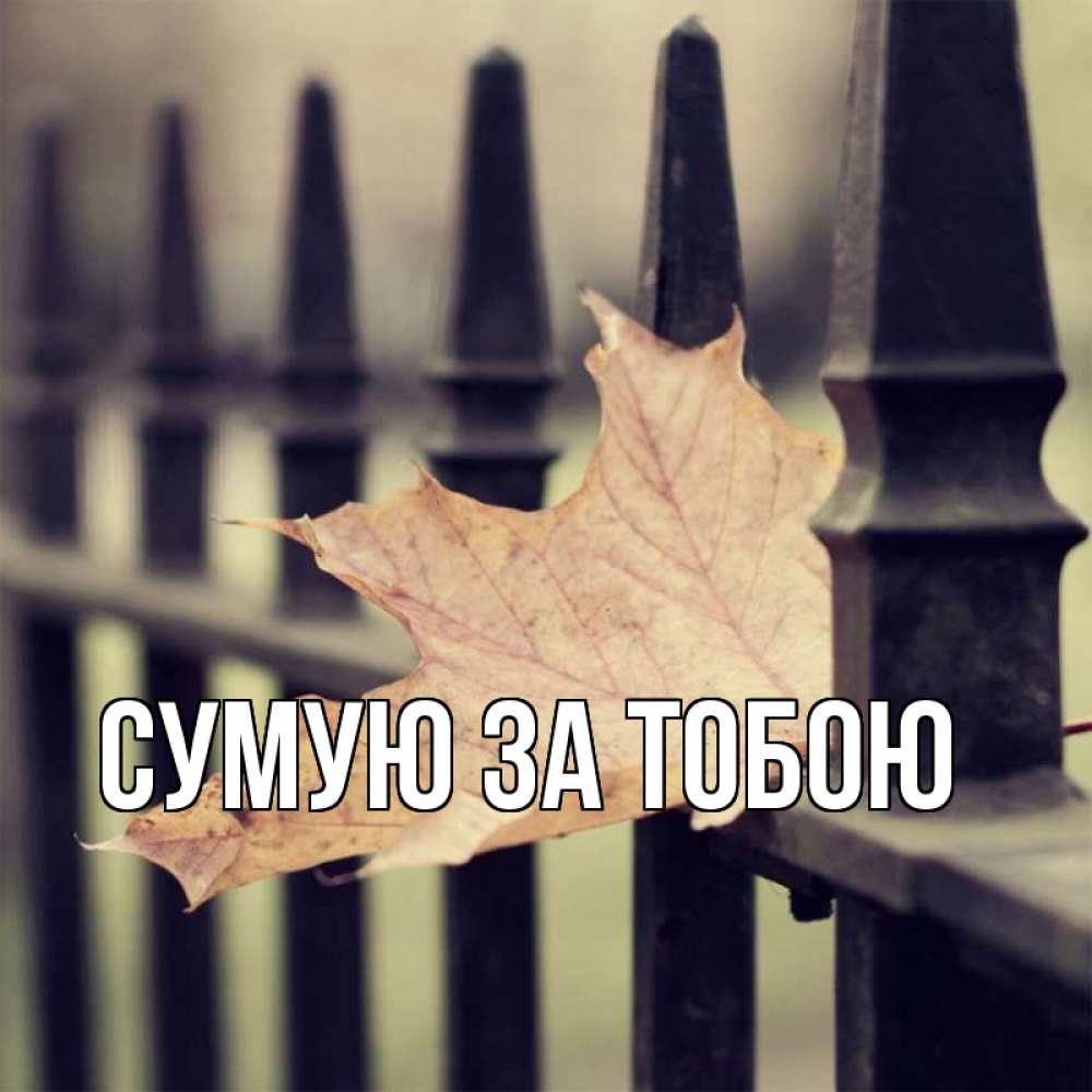 Открытка на каждый день з підписом, выберите-имя Сумую за тобою очень скучно Прикольна листівка з побажанням онлайн скачати безкоштовно 