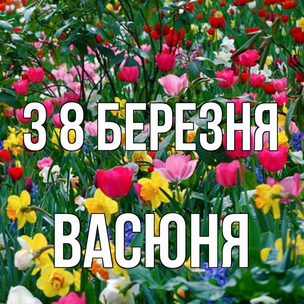 Открытка на каждый день з підписом, Васюня З 8 БЕРЕЗНЯ с международным женским днем поздравления для женщины Прикольна листівка з побажанням онлайн скачати безкоштовно 