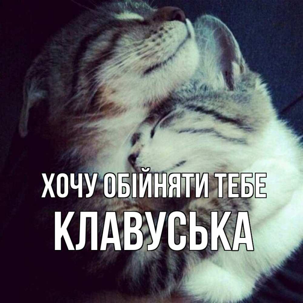 Открытка на каждый день з підписом, Клавуська Хочу обійняти тебе полосатики Прикольна листівка з побажанням онлайн скачати безкоштовно 
