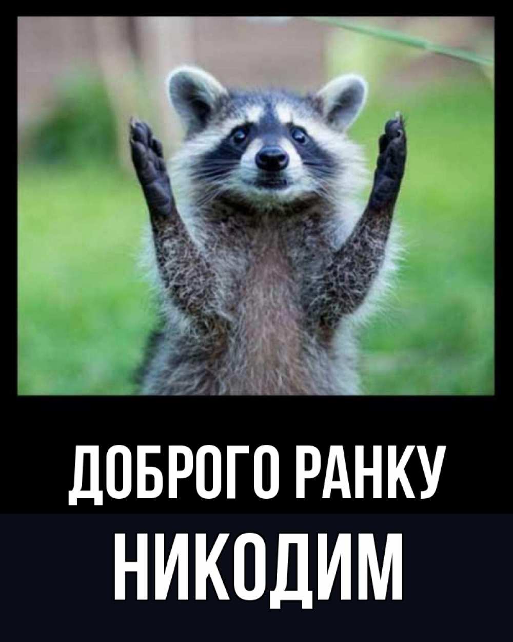 Открытка на каждый день з підписом, Никодим Доброго ранку хорошее настроение утречком Прикольна листівка з побажанням онлайн скачати безкоштовно 