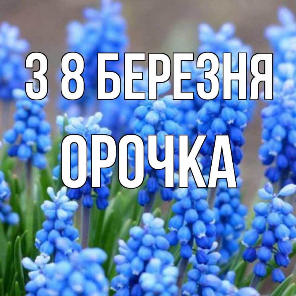Открытка на каждый день з підписом, Орочка З 8 БЕРЕЗНЯ Поздравительная открытка для женщин с цветами на праздничную дату Прикольна листівка з побажанням онлайн скачати безкоштовно 