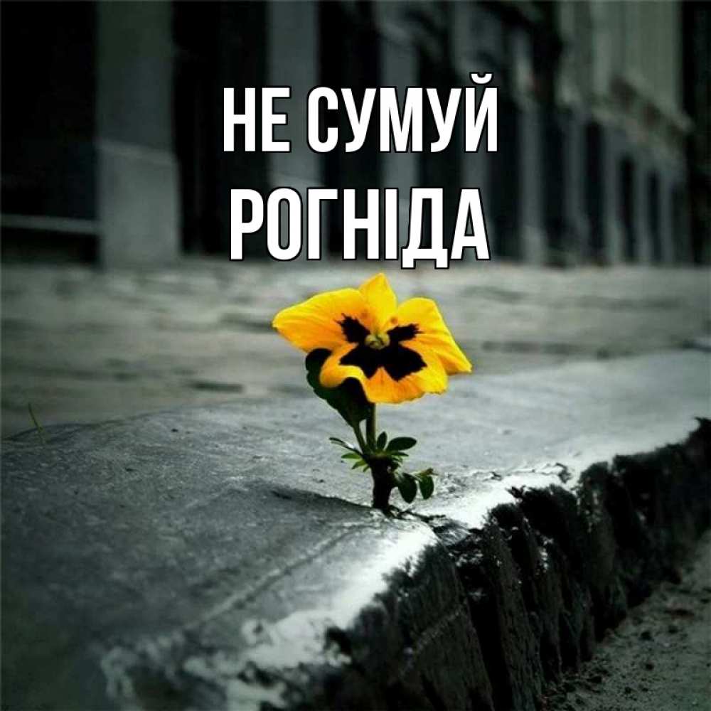 Открытка на каждый день з підписом, Рогніда Не сумуй не сдавайся Прикольна листівка з побажанням онлайн скачати безкоштовно 