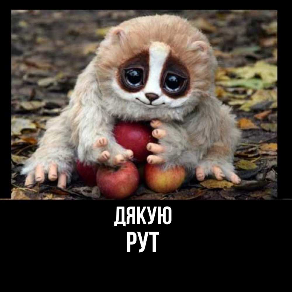 Открытка на каждый день з підписом, Рут Дякую прикольное животное Прикольна листівка з побажанням онлайн скачати безкоштовно 