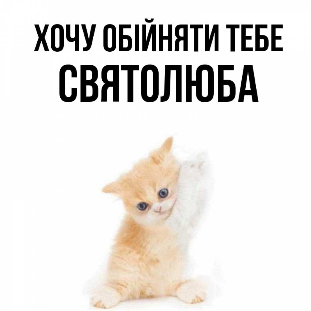 Открытка на каждый день з підписом, Святолюба Хочу обійняти тебе я хочу очень скорее обнимаешек Прикольна листівка з побажанням онлайн скачати безкоштовно 