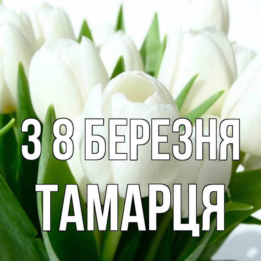 Открытка на каждый день з підписом, Тамарця З 8 БЕРЕЗНЯ цветы Прикольна листівка з побажанням онлайн скачати безкоштовно 