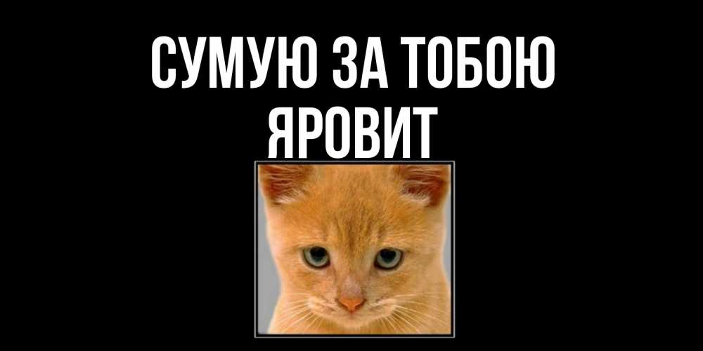 Открытка на каждый день з підписом, Яровит Сумую за тобою открытки рыжий котенок скучает по тебе Прикольна листівка з побажанням онлайн скачати безкоштовно 