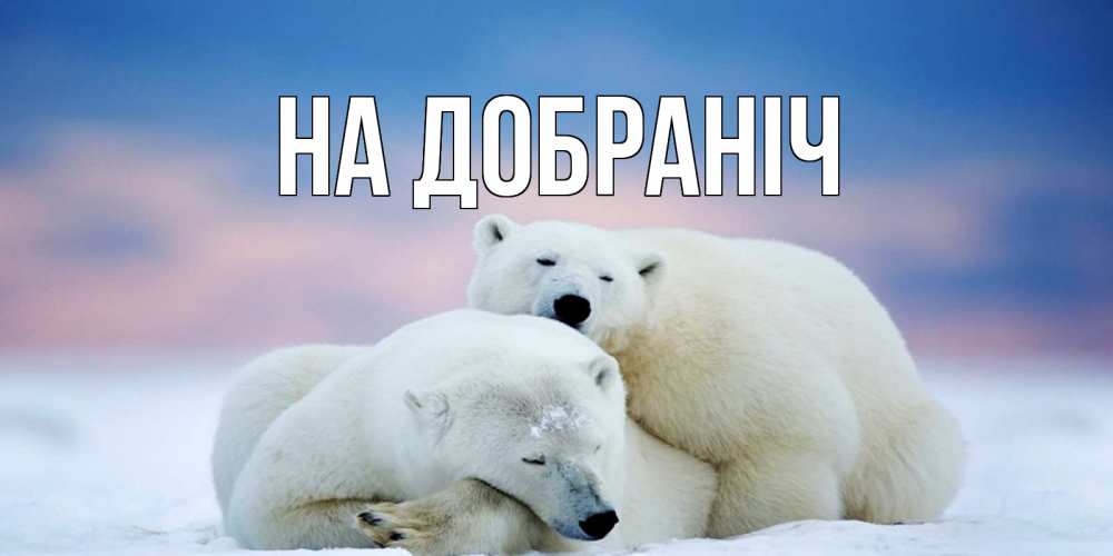 Открытка на каждый день з підписом, выберите-имя На добраніч белые медведи спят в обнимку Прикольна листівка з побажанням онлайн скачати безкоштовно 
