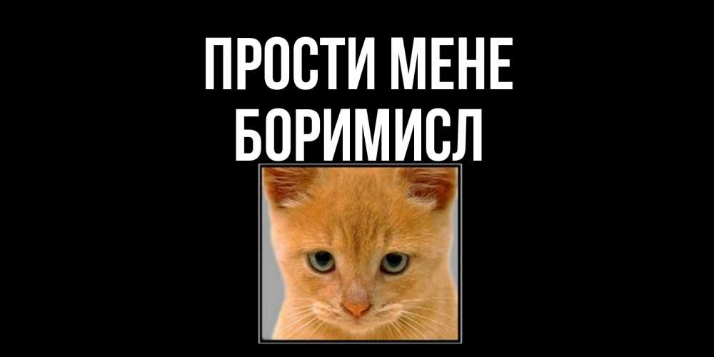 Открытка на каждый день з підписом, Боримисл Прости мене рыжий грустный кот просит прощения Прикольна листівка з побажанням онлайн скачати безкоштовно 