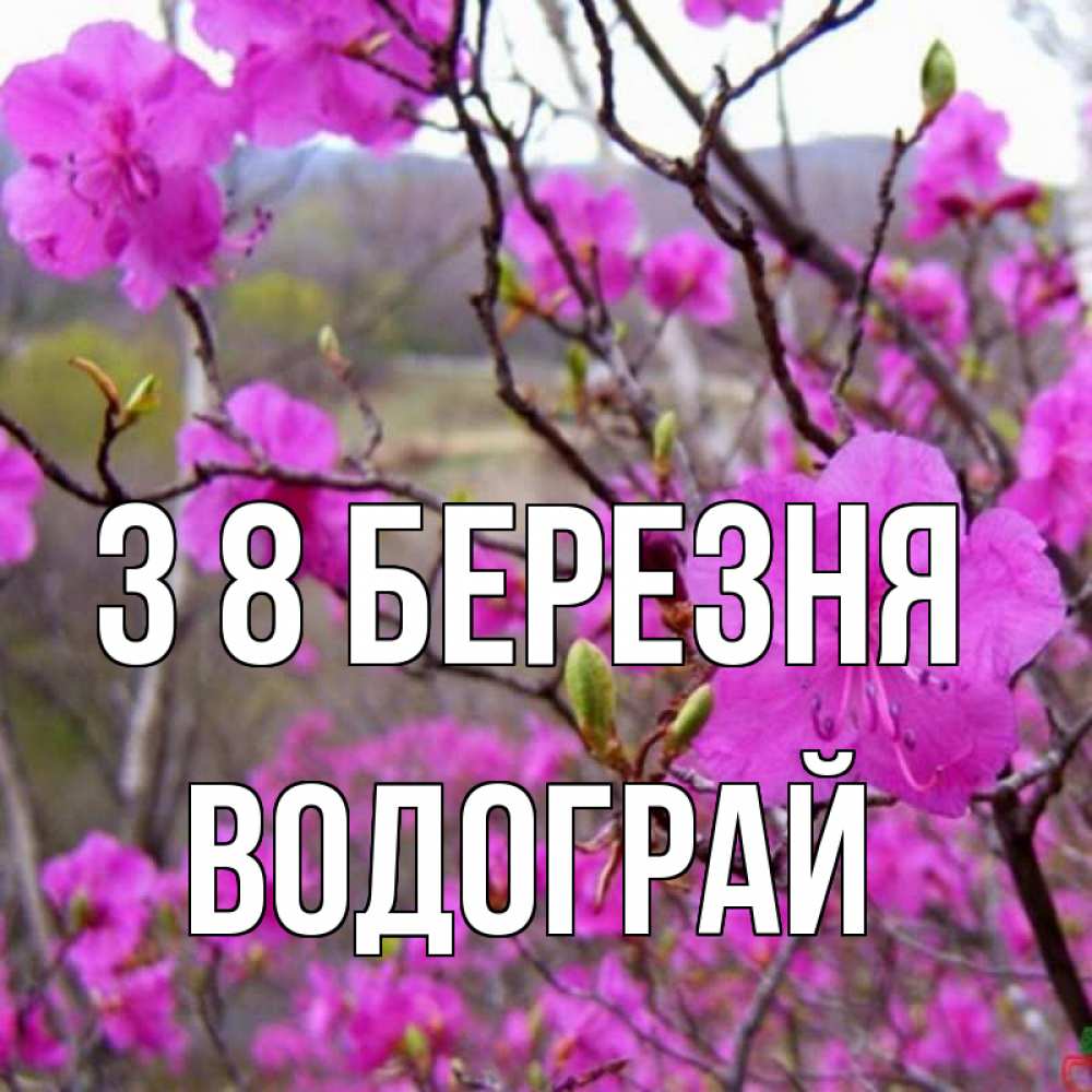 Открытка на каждый день з підписом, Водограй З 8 БЕРЕЗНЯ международный женский день Прикольна листівка з побажанням онлайн скачати безкоштовно 