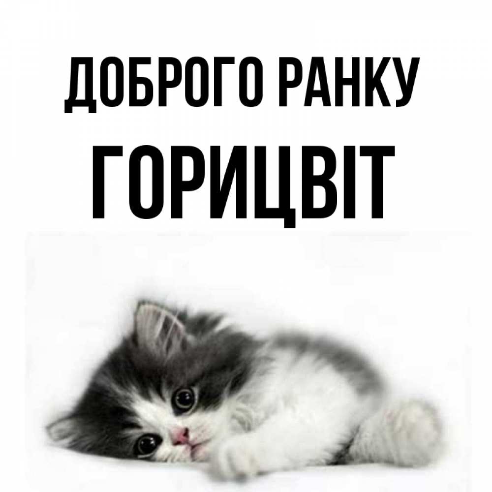 Открытка на каждый день з підписом, Горицвіт Доброго ранку кот лапки Прикольна листівка з побажанням онлайн скачати безкоштовно 