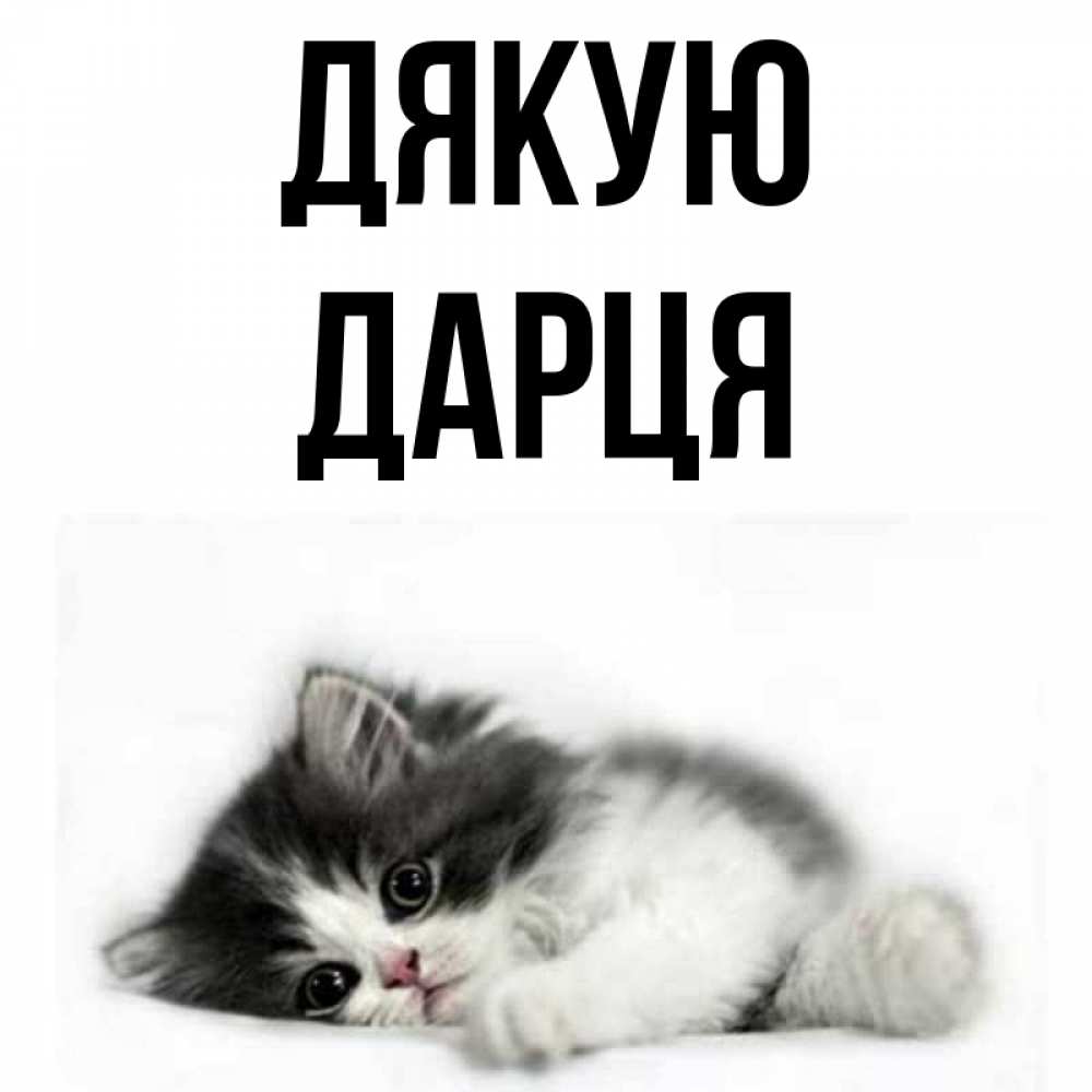 Открытка на каждый день з підписом, Дарця Дякую черный и белый кот Прикольна листівка з побажанням онлайн скачати безкоштовно 