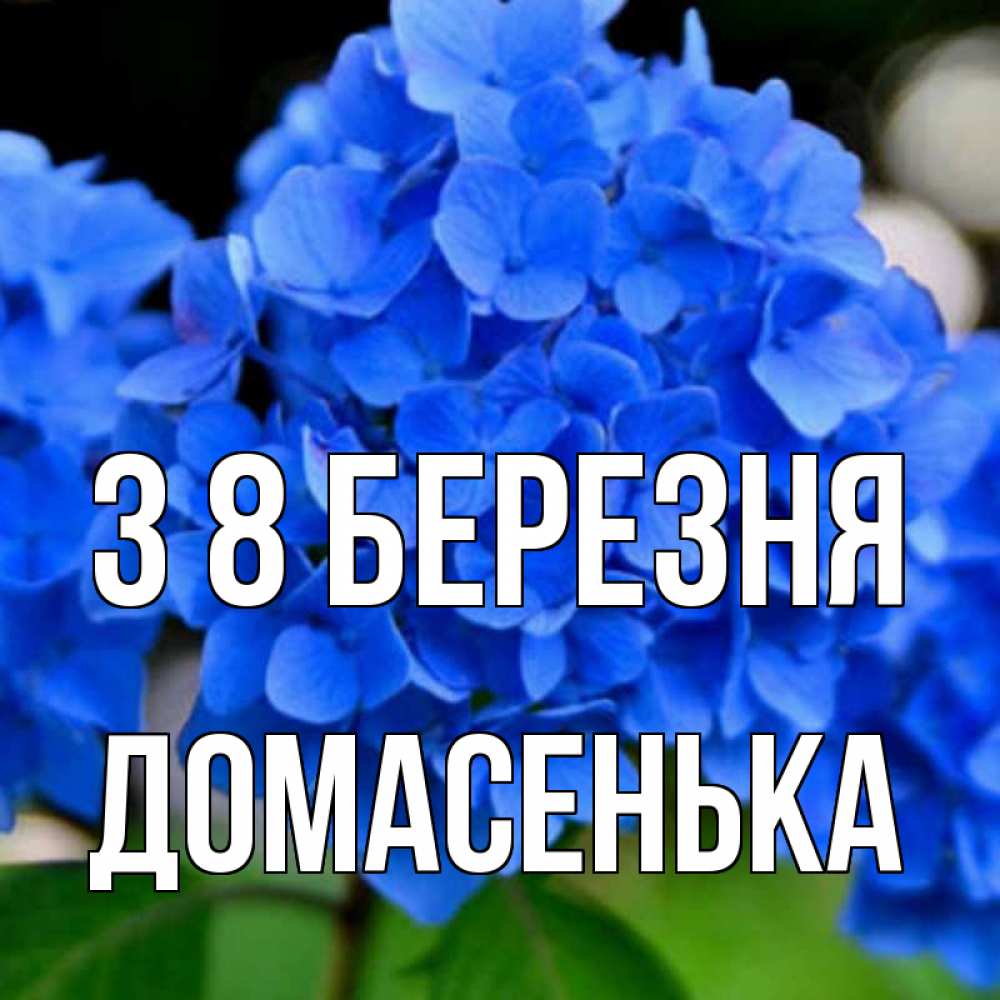 Открытка на каждый день з підписом, Домасенька З 8 БЕРЕЗНЯ синие цветы Прикольна листівка з побажанням онлайн скачати безкоштовно 