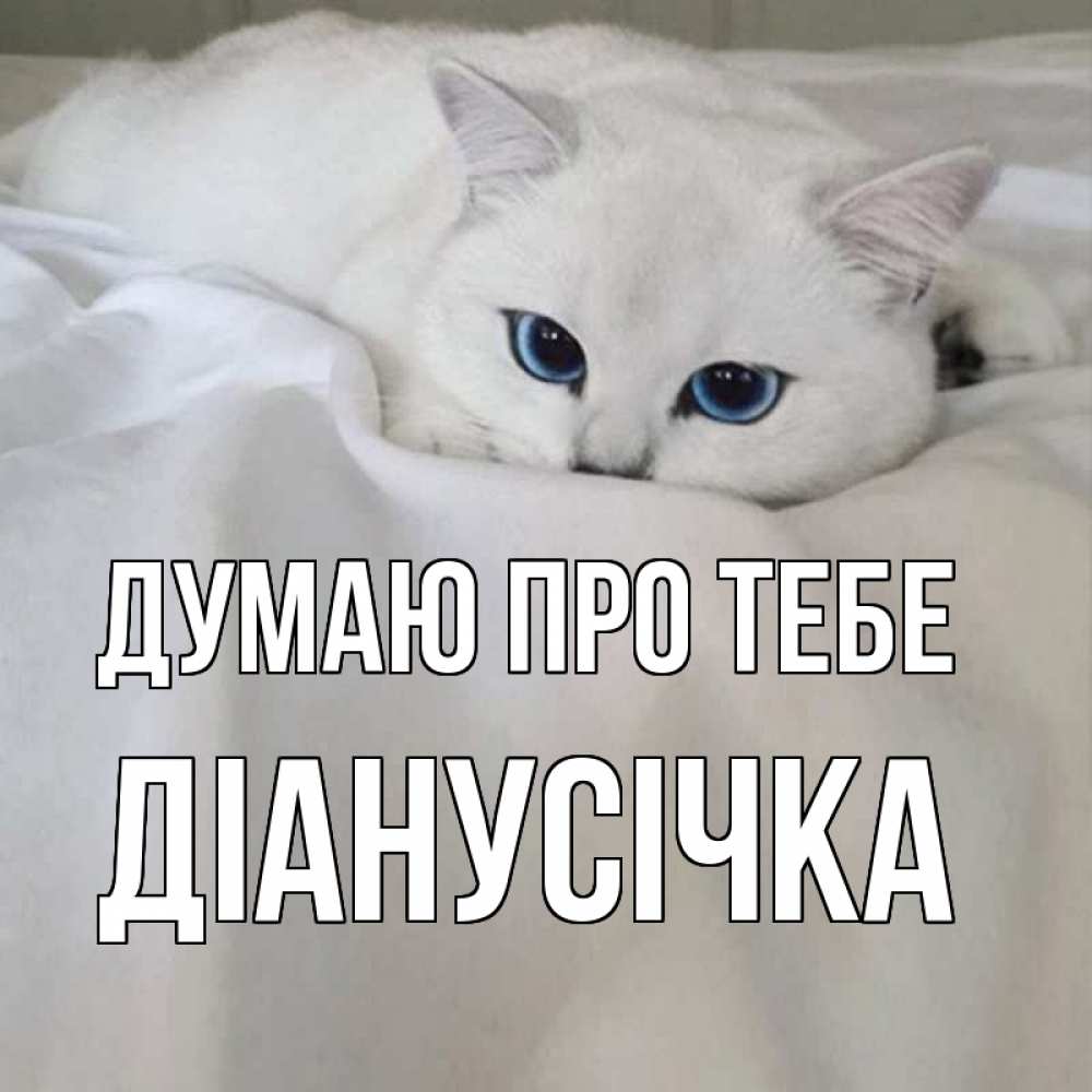 Открытка на каждый день з підписом, Діанусічка Думаю про тебе я очень по тебе скучаю и тоскую Прикольна листівка з побажанням онлайн скачати безкоштовно 