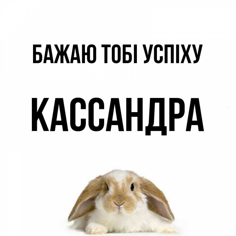 Открытка на каждый день з підписом, Кассандра Бажаю тобі успіху открытки с произвольным текстом который можно вставить в открытку и создать ее самостоятельно бесплатно онлайн Прикольна листівка з побажанням онлайн скачати безкоштовно 