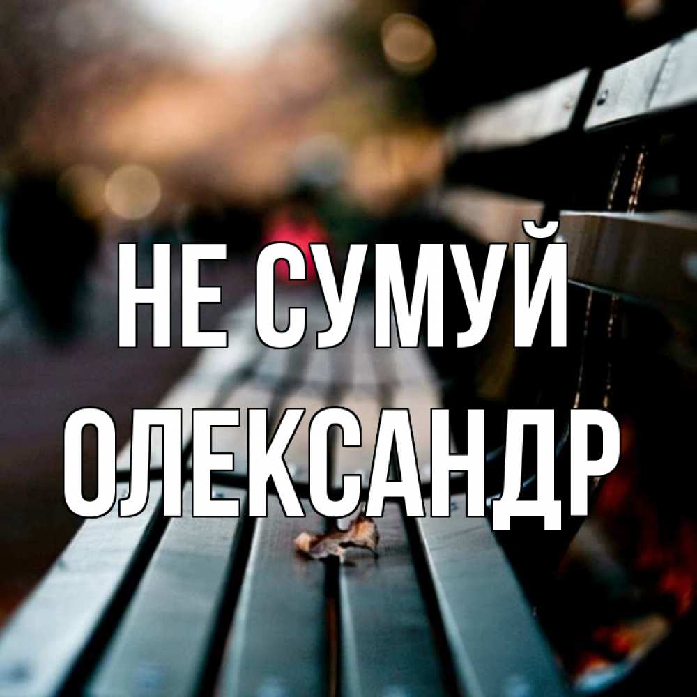 Открытка на каждый день з підписом, Олександр Не сумуй размытый фон Прикольна листівка з побажанням онлайн скачати безкоштовно 