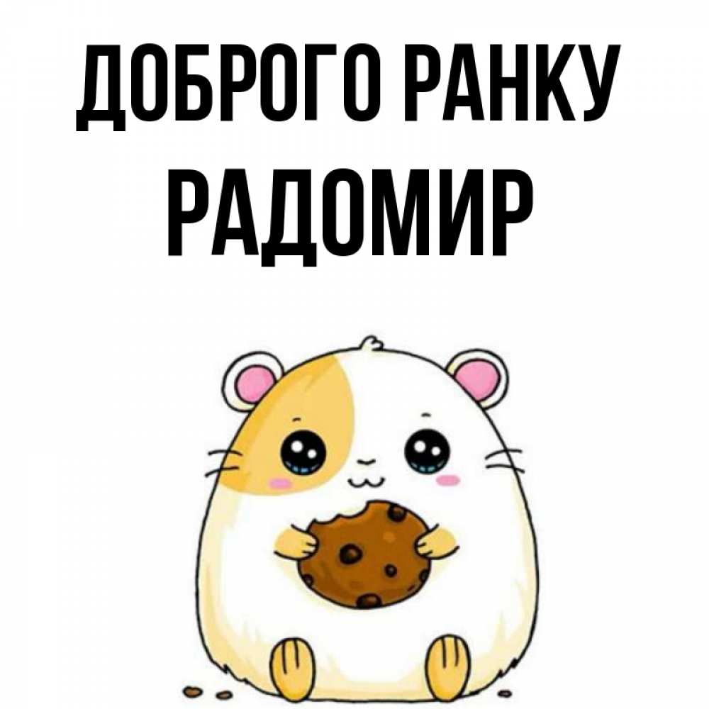 Открытка на каждый день з підписом, Радомир Доброго ранку есть печеньку. Утречко Прикольна листівка з побажанням онлайн скачати безкоштовно 