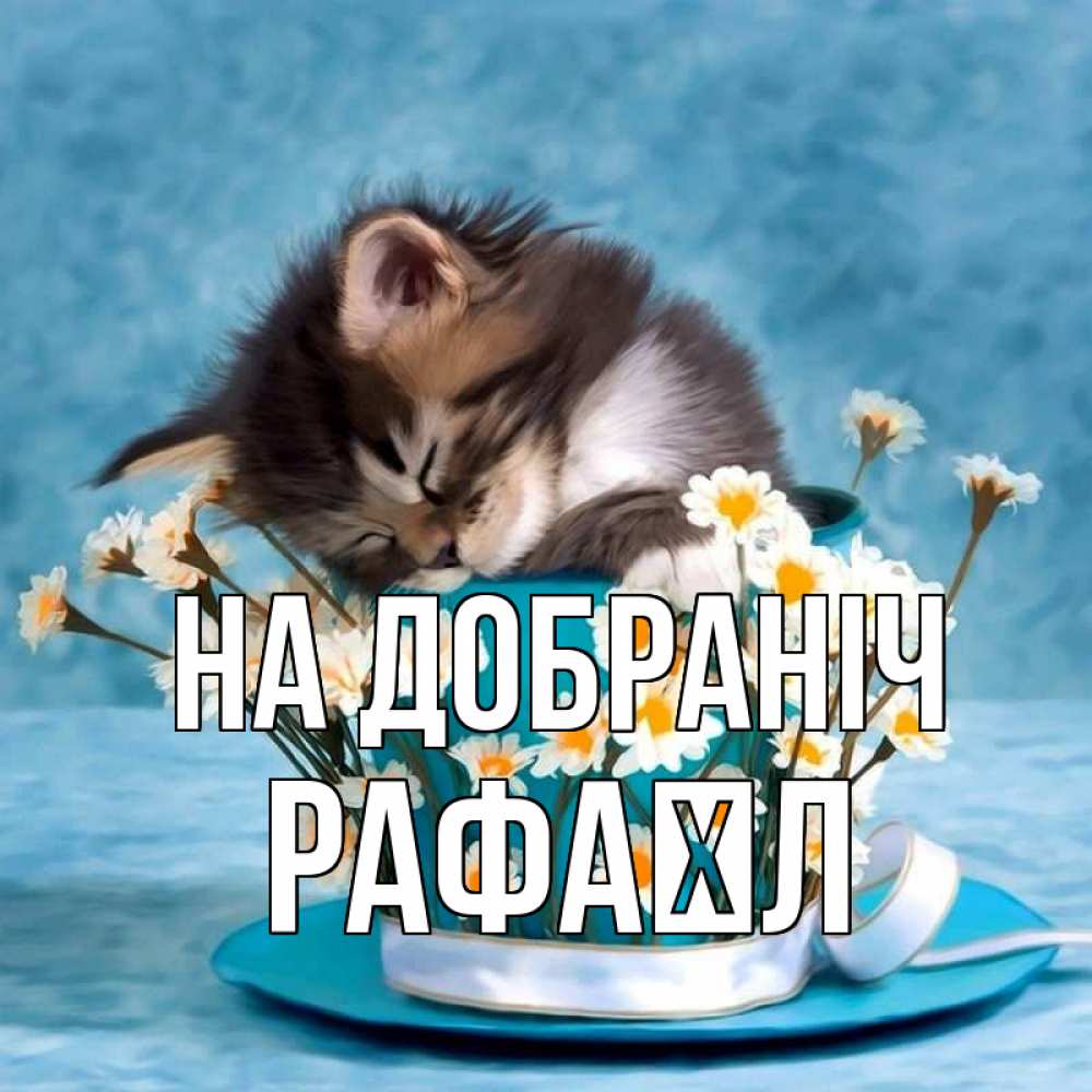 Открытка на каждый день з підписом, Рафаїл На добраніч котенок спит в кружке с блюдцем Прикольна листівка з побажанням онлайн скачати безкоштовно 