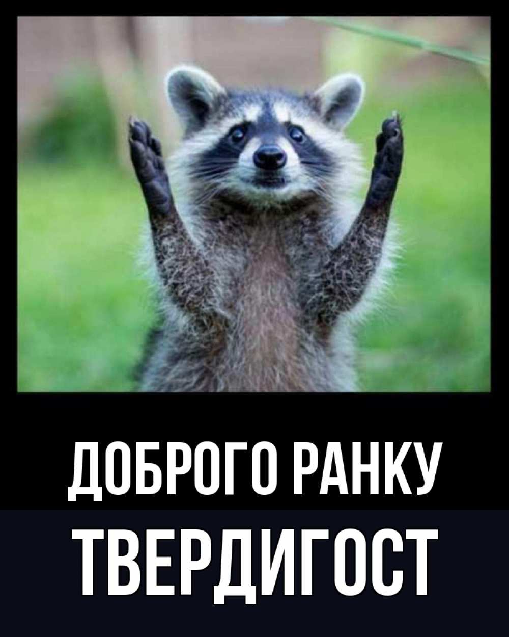 Открытка на каждый день з підписом, Твердигост Доброго ранку хорошее настроение утречком Прикольна листівка з побажанням онлайн скачати безкоштовно 