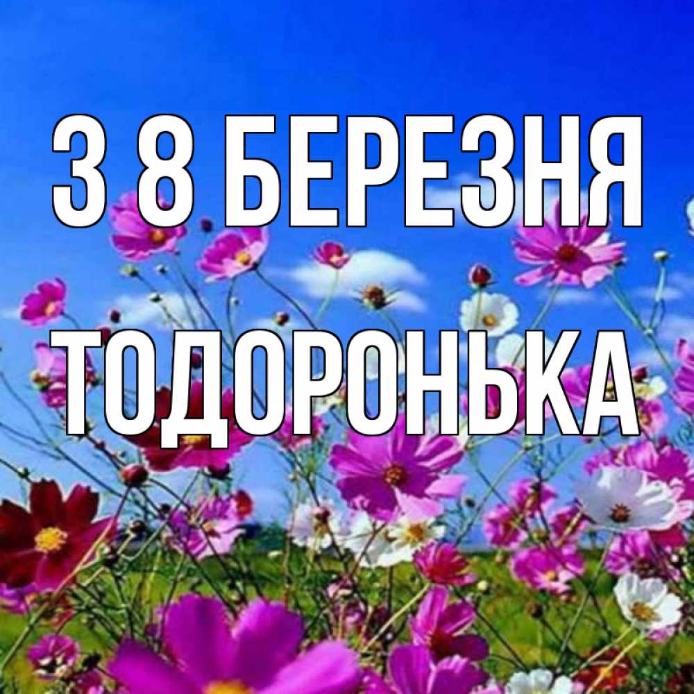 Открытка на каждый день з підписом, Тодоронька З 8 БЕРЕЗНЯ цветы Прикольна листівка з побажанням онлайн скачати безкоштовно 