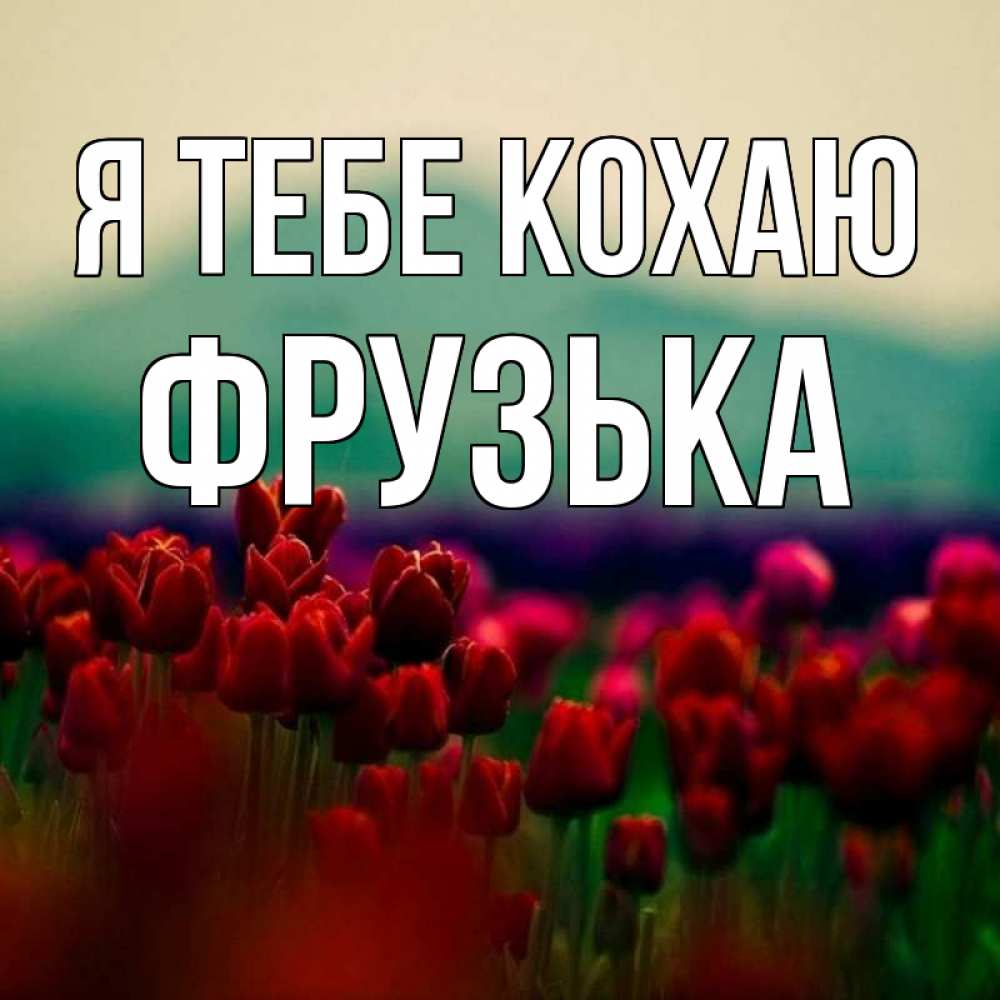Открытка на каждый день з підписом, Фрузька Я тебе кохаю тюльпаны 4 Прикольна листівка з побажанням онлайн скачати безкоштовно 