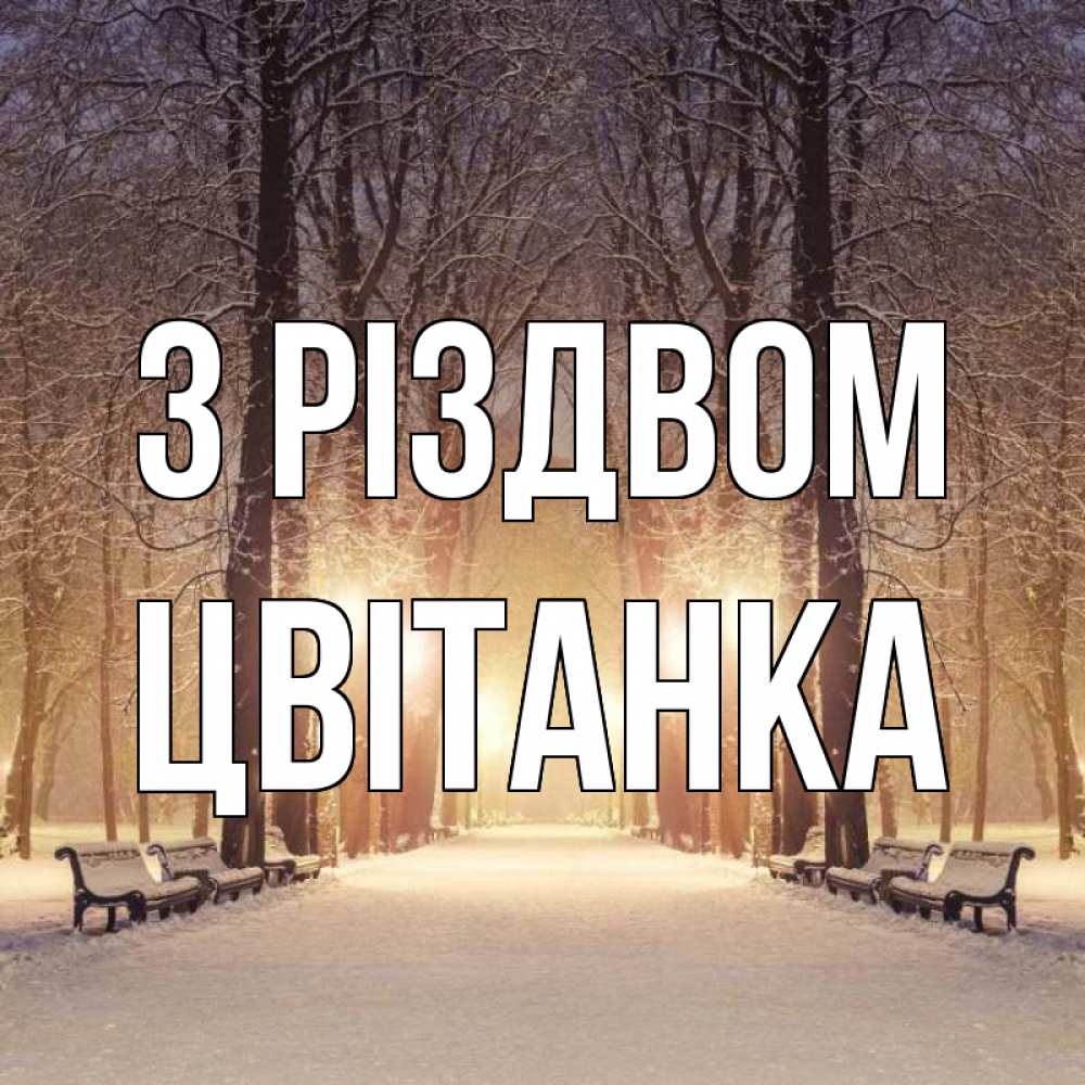 Открытка на каждый день з підписом, Цвітанка З Різдвом зима, парк, фонарь, лес Прикольна листівка з побажанням онлайн скачати безкоштовно 