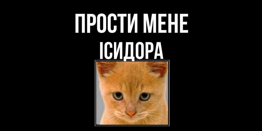 Открытка на каждый день з підписом, Ісидора Прости мене рыжий грустный кот просит прощения Прикольна листівка з побажанням онлайн скачати безкоштовно 