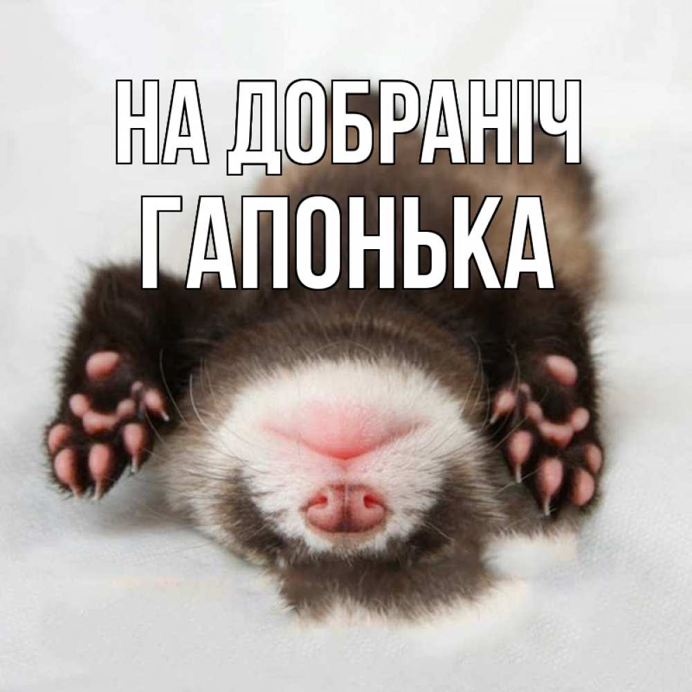 Открытка на каждый день з підписом, Гапонька На добраніч зверек Прикольна листівка з побажанням онлайн скачати безкоштовно 