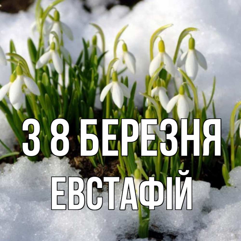 Открытка на каждый день з підписом, Евстафій З 8 БЕРЕЗНЯ цветы весенние Прикольна листівка з побажанням онлайн скачати безкоштовно 