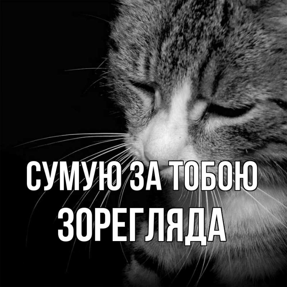 Открытка на каждый день з підписом, Зорегляда Сумую за тобою мне скучно Прикольна листівка з побажанням онлайн скачати безкоштовно 