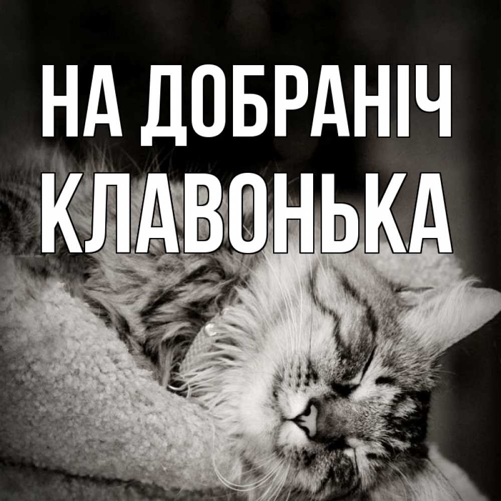 Открытка на каждый день з підписом, Клавонька На добраніч котярик пушистый Прикольна листівка з побажанням онлайн скачати безкоштовно 