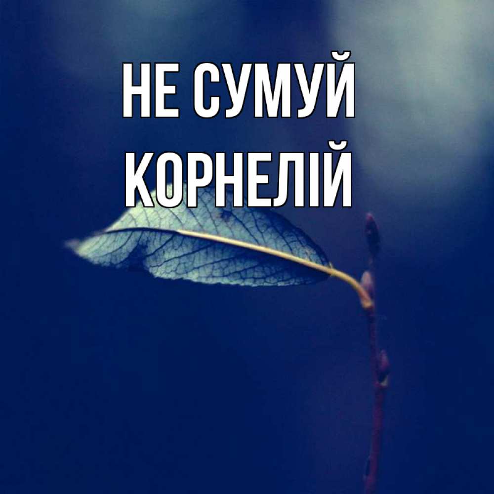 Открытка на каждый день з підписом, Корнелій Не сумуй растение Прикольна листівка з побажанням онлайн скачати безкоштовно 