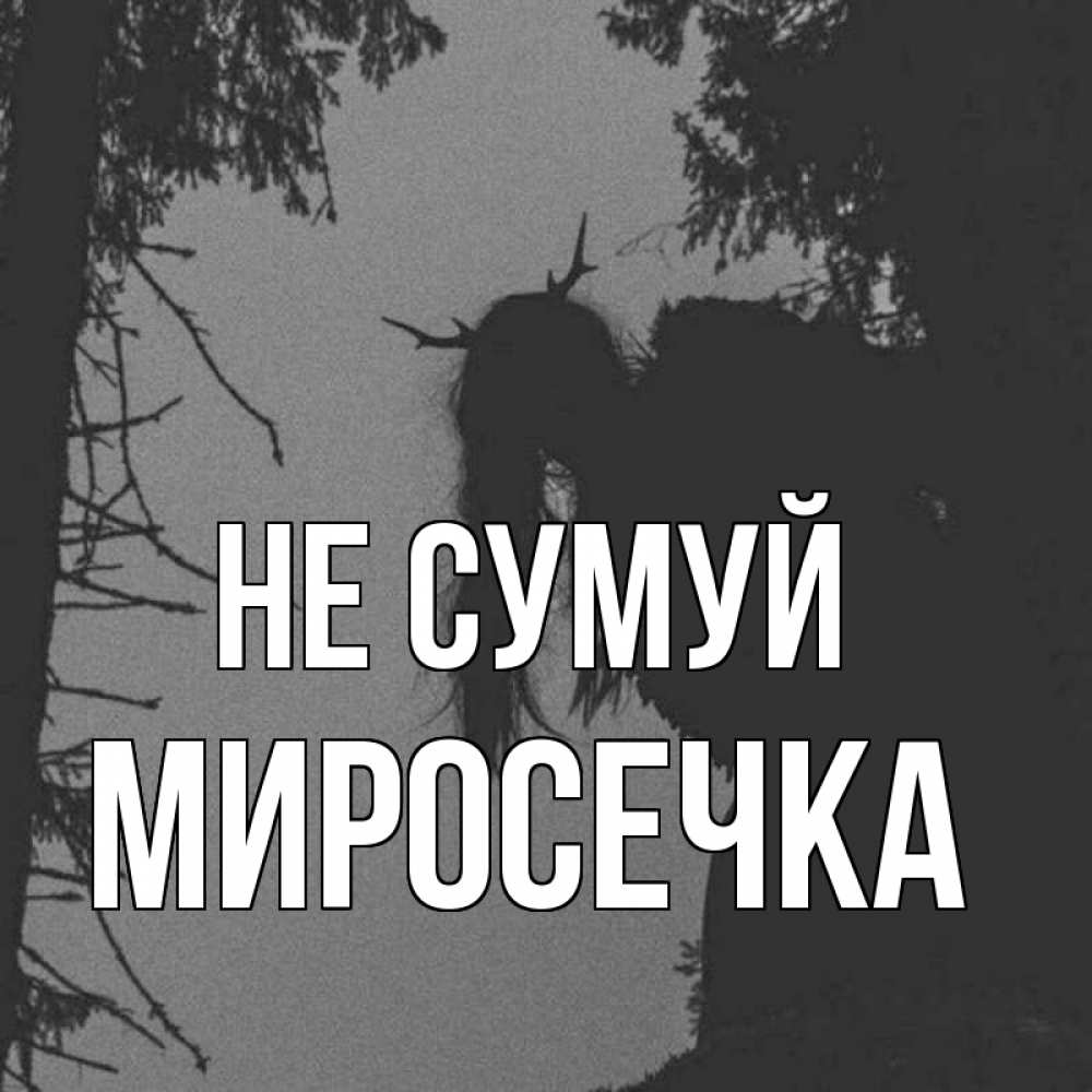 Открытка на каждый день з підписом, Миросечка Не сумуй чудище лесное Прикольна листівка з побажанням онлайн скачати безкоштовно 