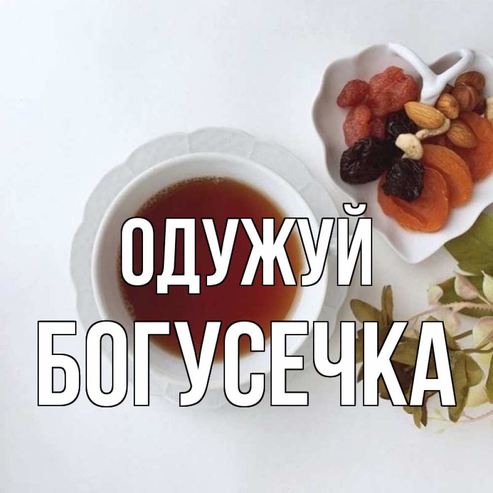 Открытка на каждый день з підписом, Богусечка Одужуй неизвестные растения Прикольна листівка з побажанням онлайн скачати безкоштовно 