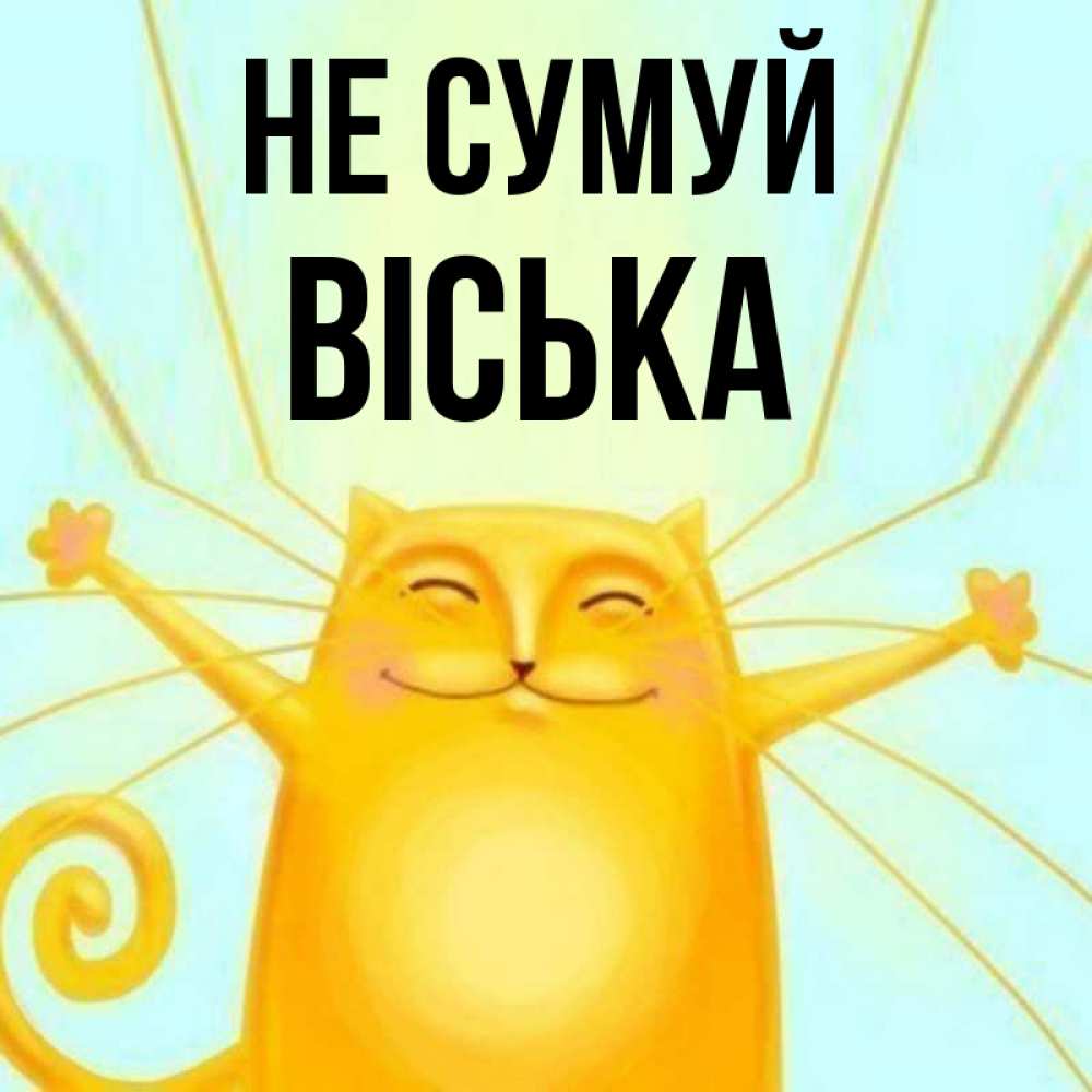 Открытка на каждый день з підписом, Віська Не сумуй обнимашки усатые Прикольна листівка з побажанням онлайн скачати безкоштовно 