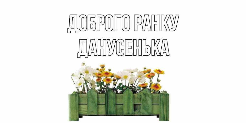 Открытка на каждый день з підписом, Данусенька Доброго ранку цветы Прикольна листівка з побажанням онлайн скачати безкоштовно 