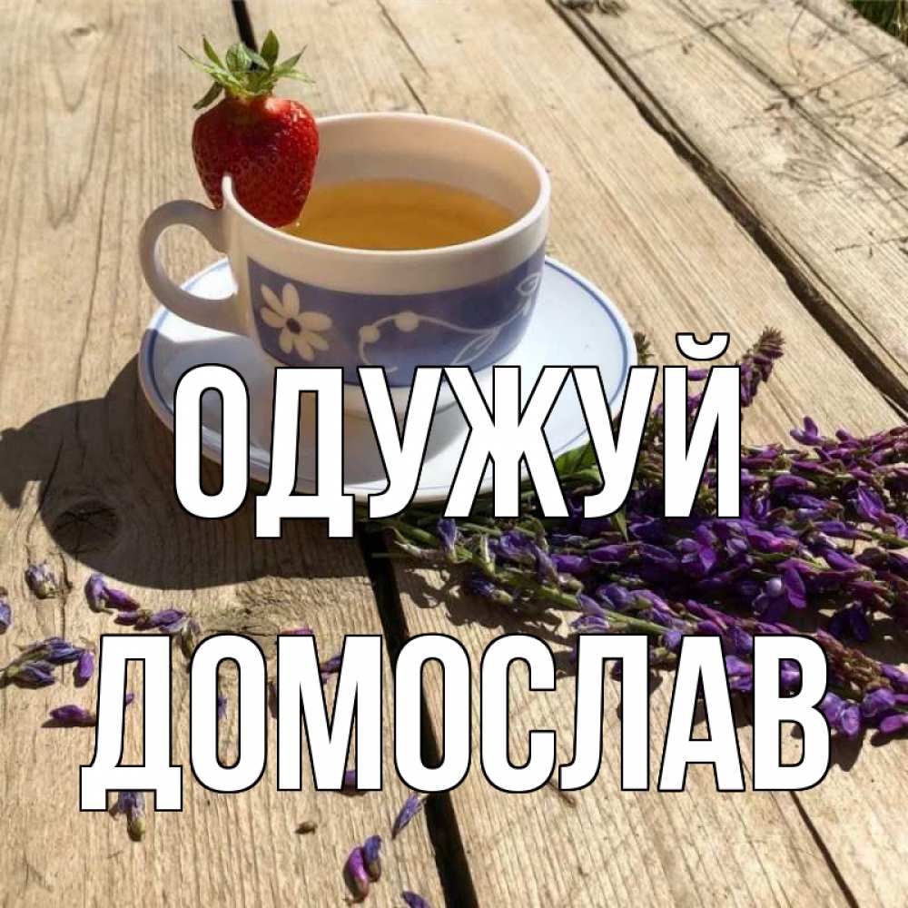 Открытка на каждый день з підписом, Домослав Одужуй чай Прикольна листівка з побажанням онлайн скачати безкоштовно 