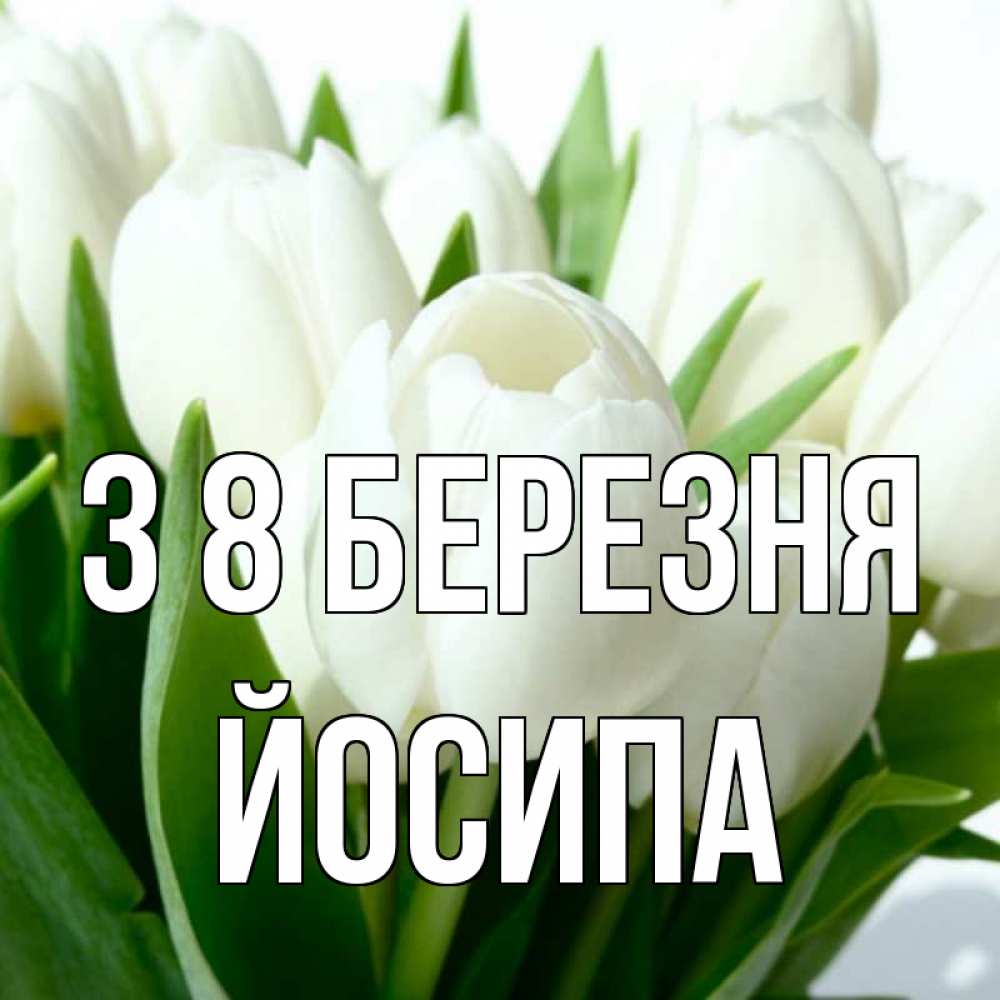 Открытка на каждый день з підписом, Йосипа З 8 БЕРЕЗНЯ цветы Прикольна листівка з побажанням онлайн скачати безкоштовно 