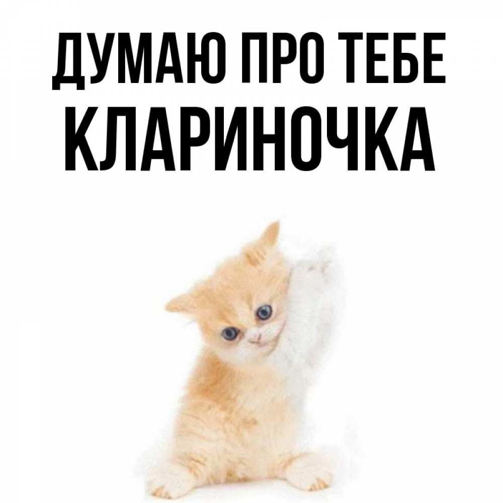 Открытка на каждый день з підписом, Клариночка Думаю про тебе зверушки и милота Прикольна листівка з побажанням онлайн скачати безкоштовно 
